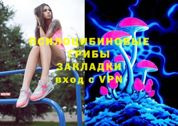 прущие крисы Киренск