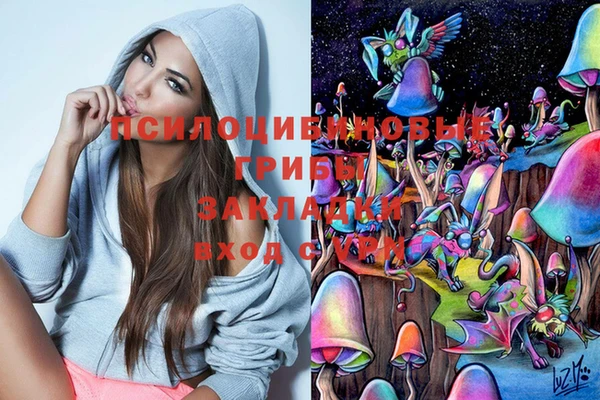 кокс Киреевск