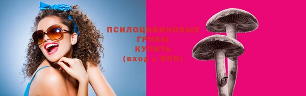 прущие крисы Киренск